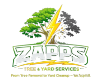 Zapps Tree & Lawn Service