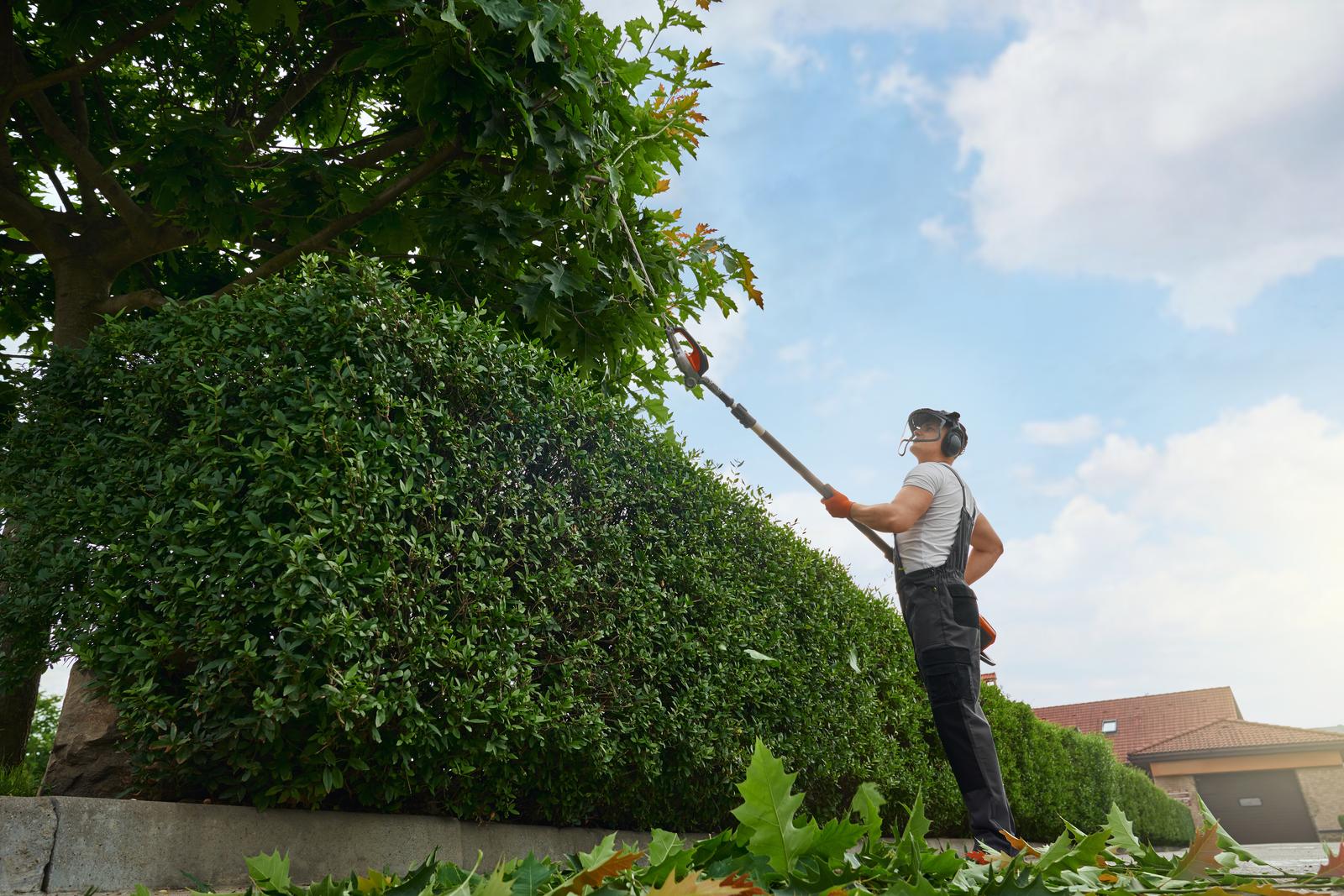 Yard Cleanup Vancouver WA | Zapps Tree & Yard Services. Low angle view of male gardener in safety mask and gloves using electric trimmer for removing dry leaves and branches on tree. Caucasian man taking care of plants to garden.