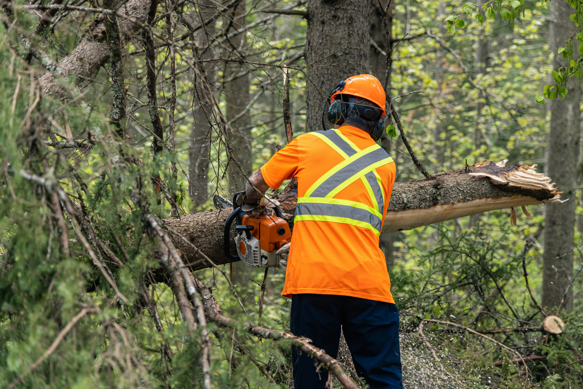 Storm Damage Cleanup Vancouver WA | Zapps Tree & Yard